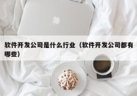 软件开发公司是什么行业（软件开发公司都有哪些）