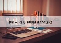 梅州seo优化（株洲企业SEO优化）