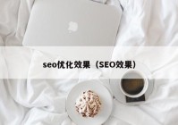 seo优化效果（SEO效果）