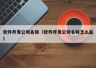 软件开发公司名称（软件开发公司名称怎么起）