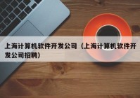 上海计算机软件开发公司（上海计算机软件开发公司招聘）