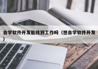 自学软件开发能找到工作吗（想自学软件开发）