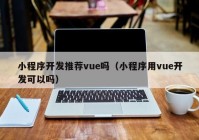 小程序开发推荐vue吗（小程序用vue开发可以吗）