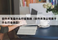 软件开发是什么行业类别（软件开发公司属于什么行业类型）